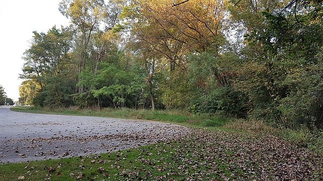 1st image of 40233 N Fox Dr