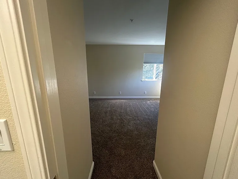 142 Pine Canyon Rd — Photo 22