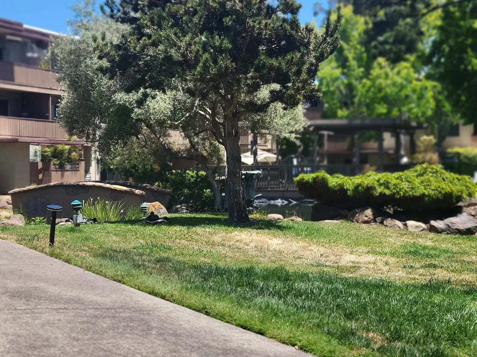1 bed, 701 sqft, $2,295 — Photo 1