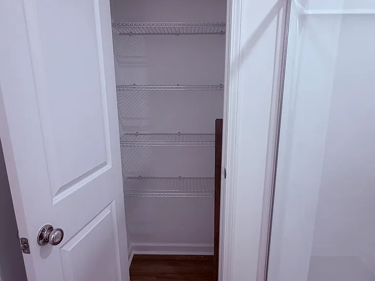 Master Bathroom Linen Closet