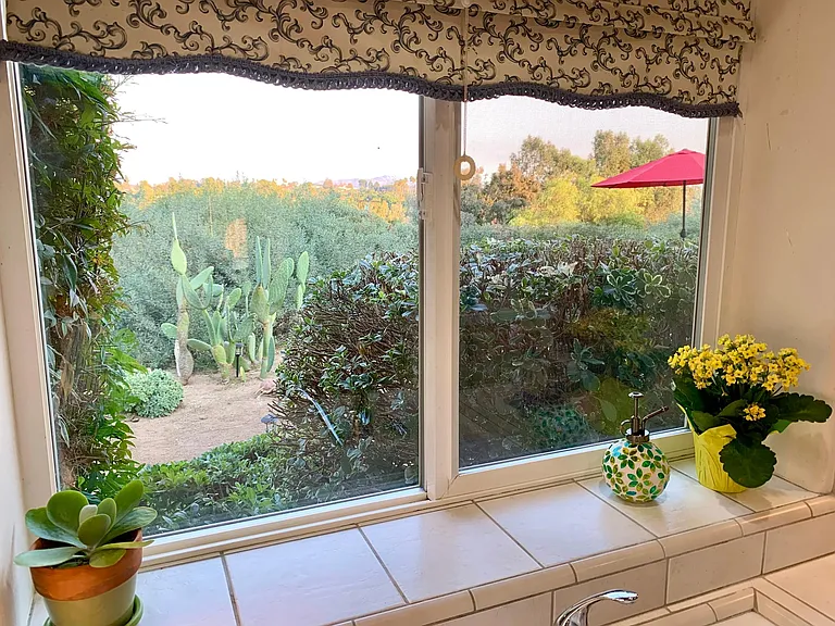 View from the kitchen window