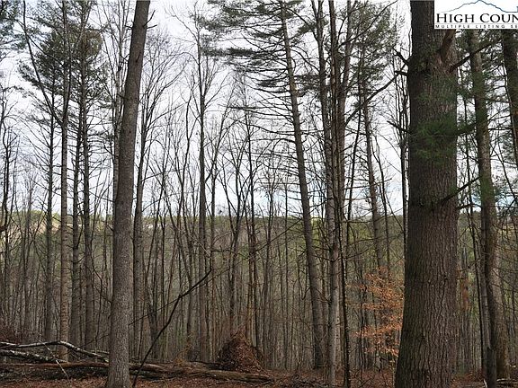 5th image of TBD #24 White Pine Drive #24