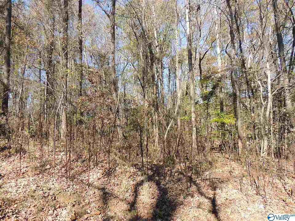 2nd image of Blue Springs Cir