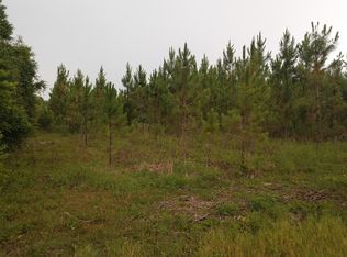 NW Jim Willis Rd, Mayo, FL 32066