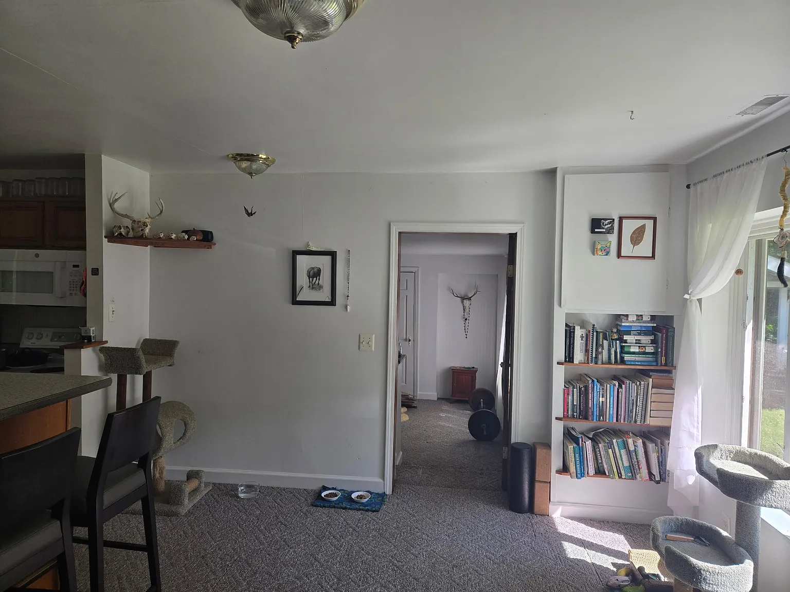 2 bed, 900 sqft, $1,600 — Photo 4
