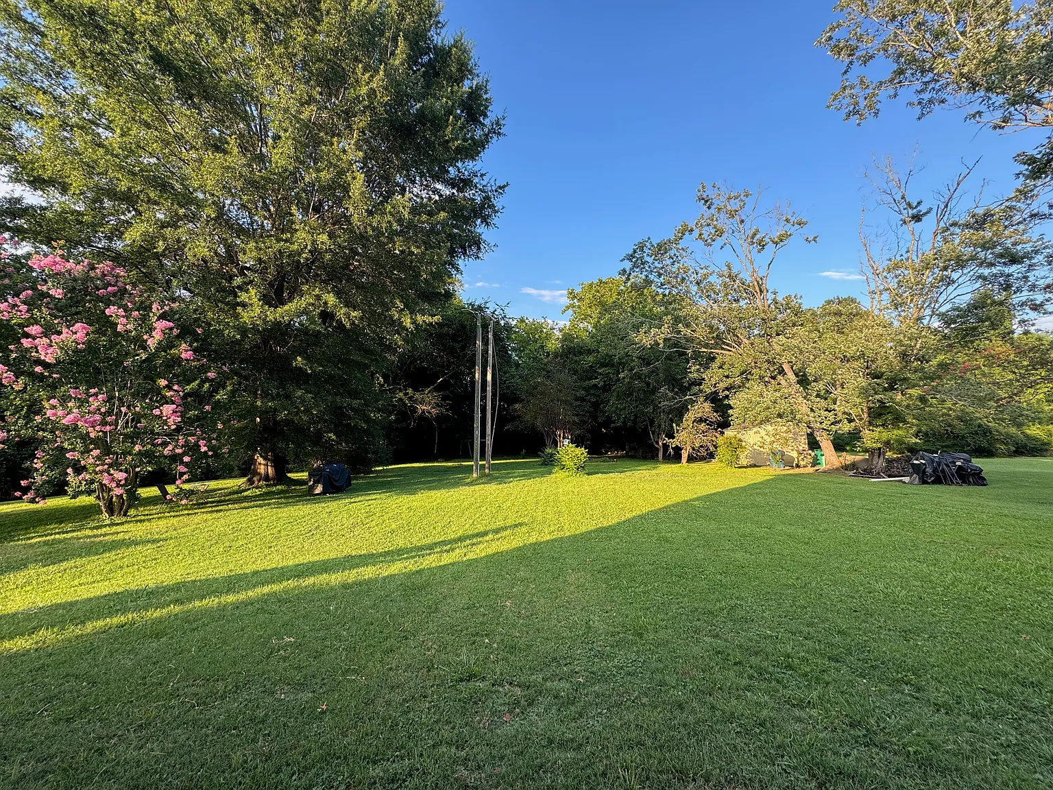 5 bed, 2812 sqft, $2,875 — Photo 3