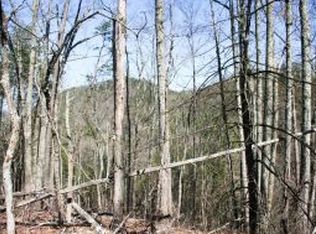 589AC Gossamer Rd, Cosby, TN 37722