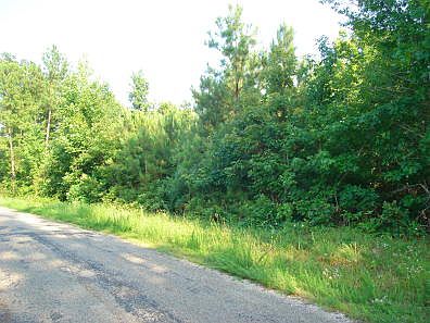 2nd image of Lebanon Loop