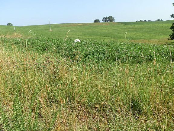 4th image of LOT 13 Kelsey Acres