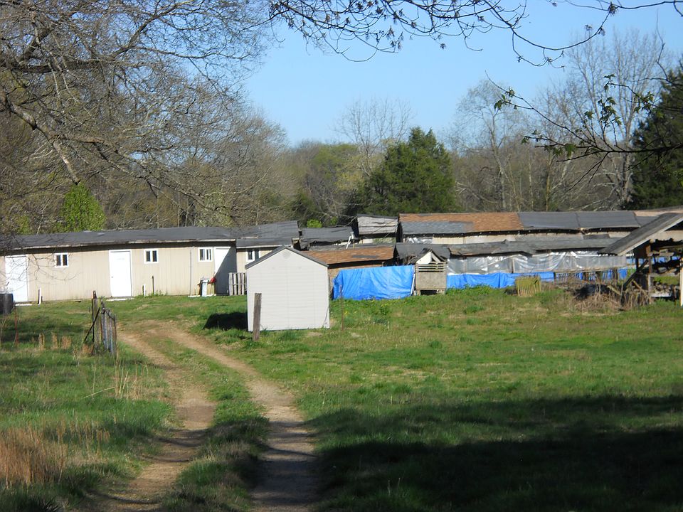 1285 Napier Lake Rd, Hohenwald, TN 38462 Zillow