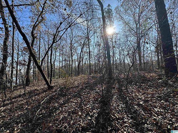 2nd image of 11 Billingsley Dr Lot 11