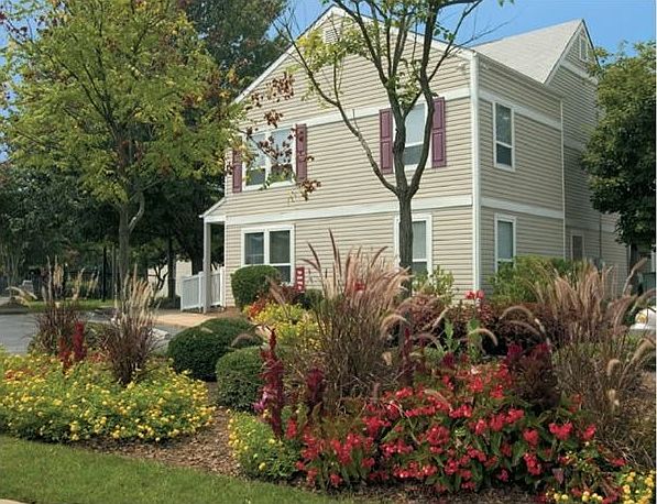 Oak park flower show