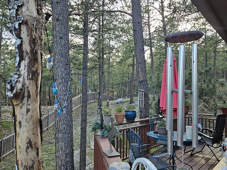 View from 2nd floor deck into backwoods