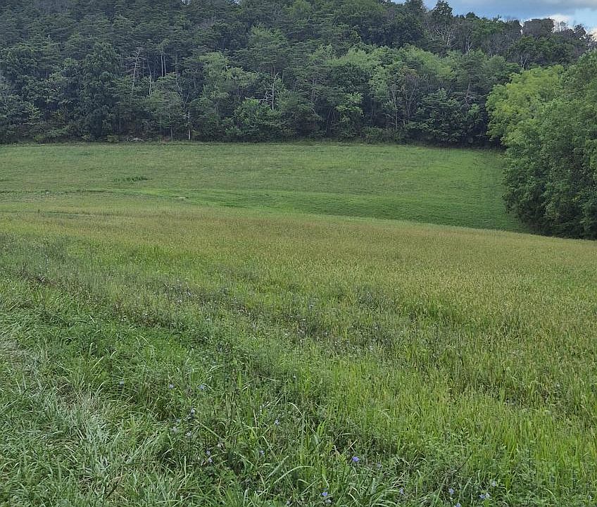 2nd image of 2151 Freeburg Rd Parcel 3