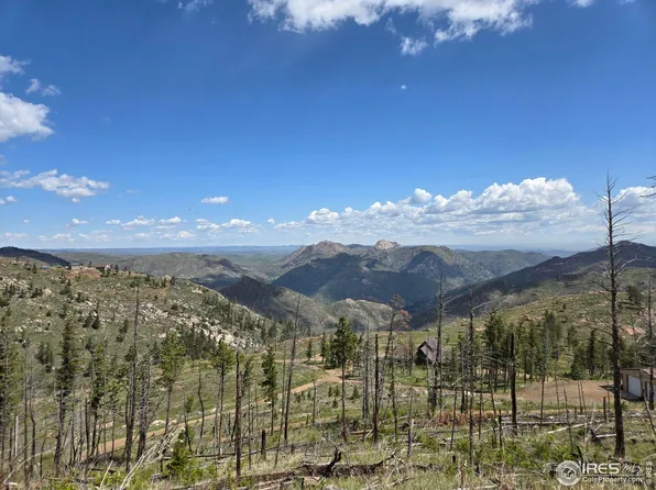 821 Woodlot Ln, Bellvue, CO 80512