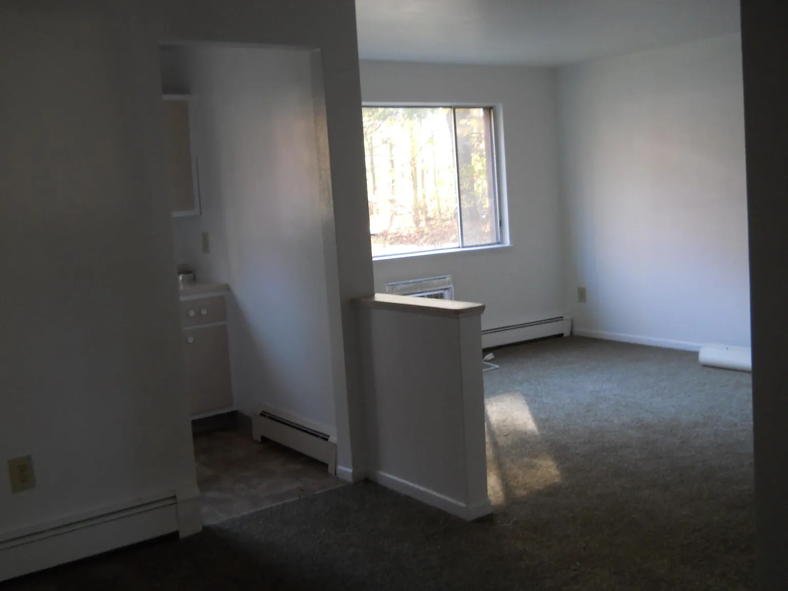 3 bed, 1.5 bath, $1,000 — Photo 3