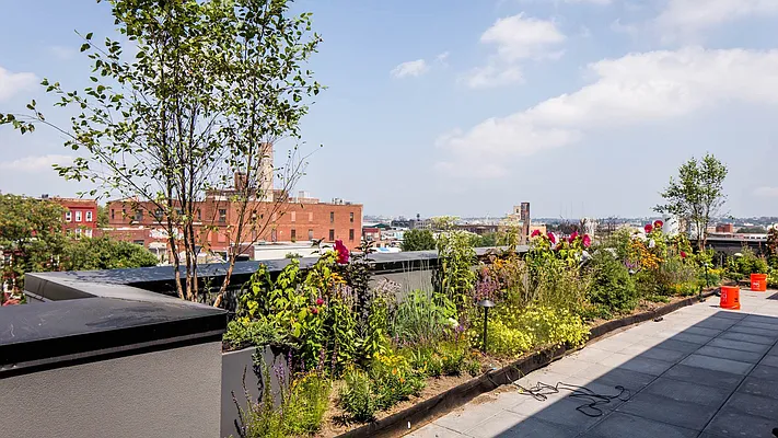 Rented by Nooklyn NYC LLC | media 106