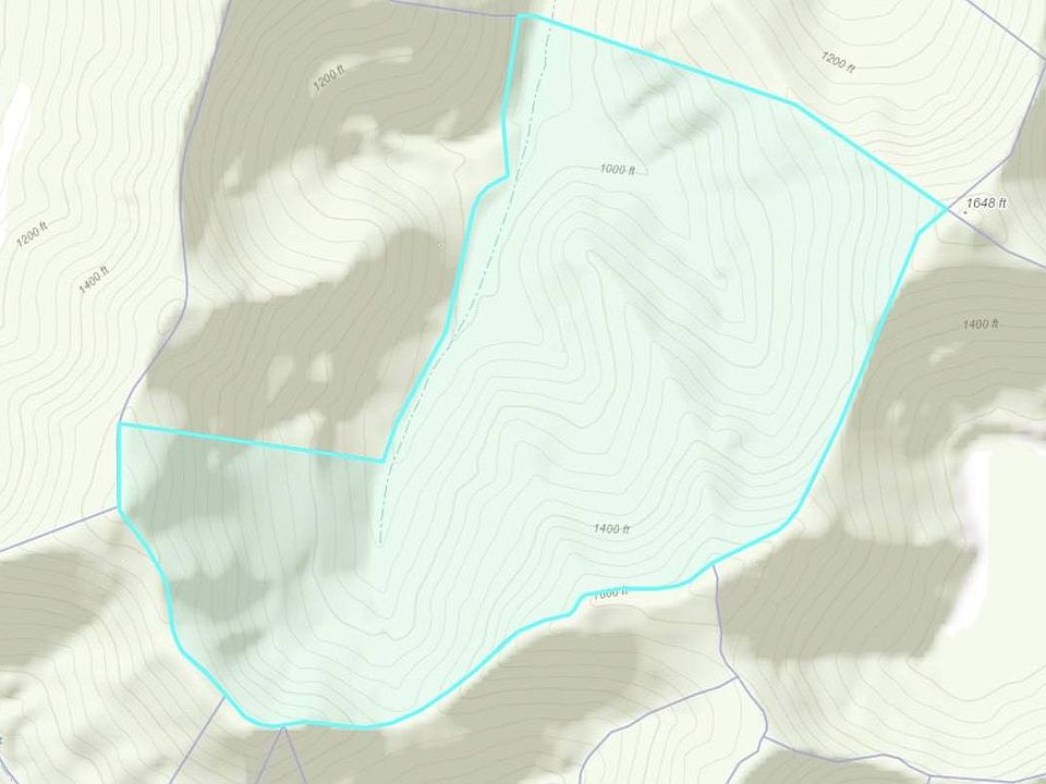 2nd image of 0 Toneys Fork Rd