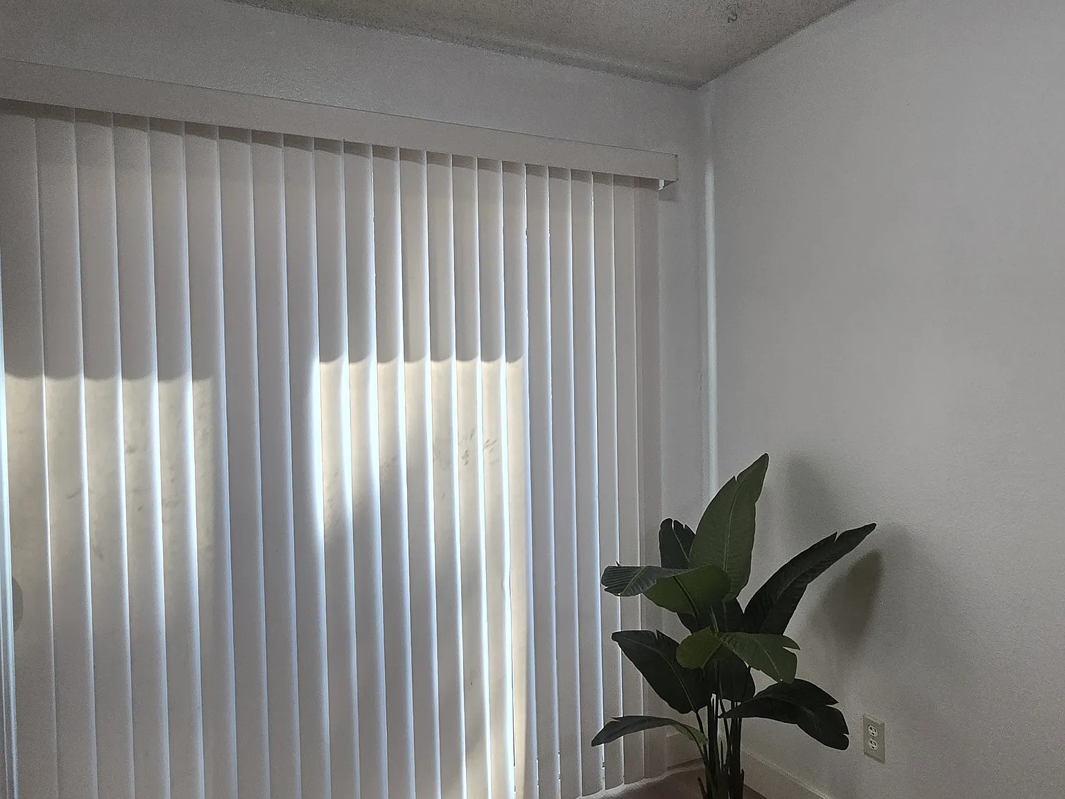 4705 Hayford Way — Photo 3