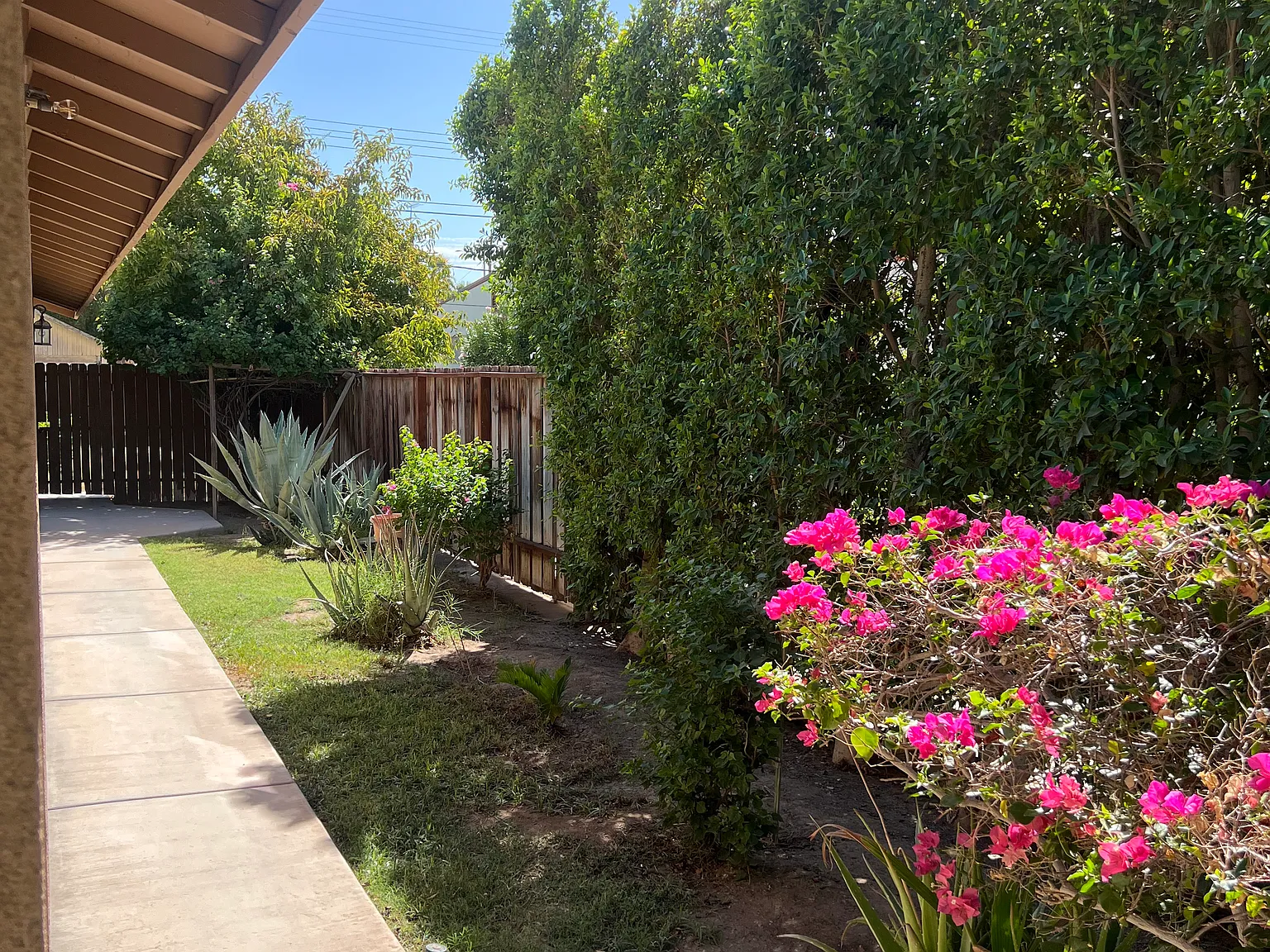 730 Pine Ave — Photo 4