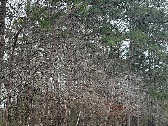 5th image of 9040 Marsh Mountain Rd