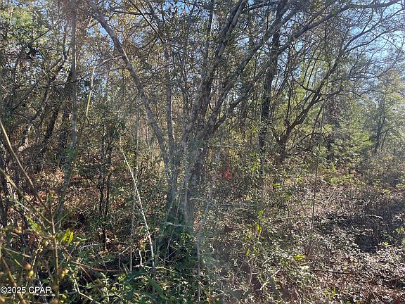 4th image of LOT 10 Adirondack Dr
