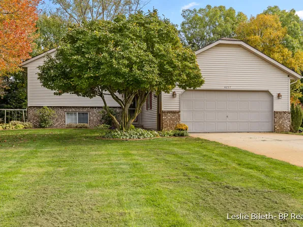 4257 Redwood Ln, Dorr, MI 49323