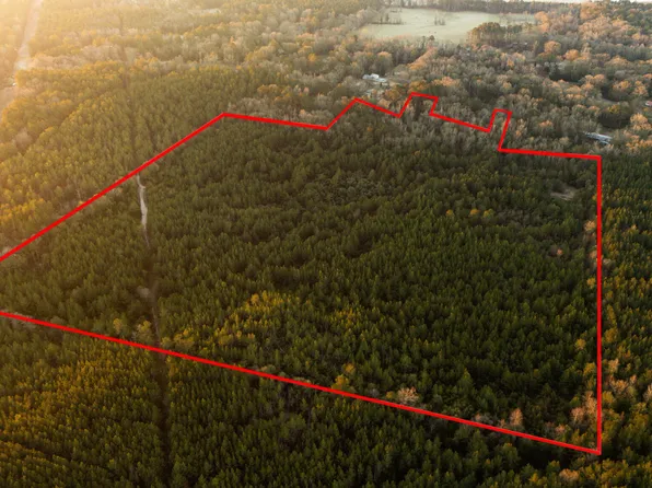 Foster McConnell Rd, Seminary, MS 39479