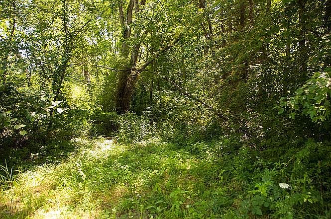 1st image of Holloway Dr