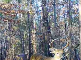 0 Apple Grove Rd, Vredenburgh, AL 36481