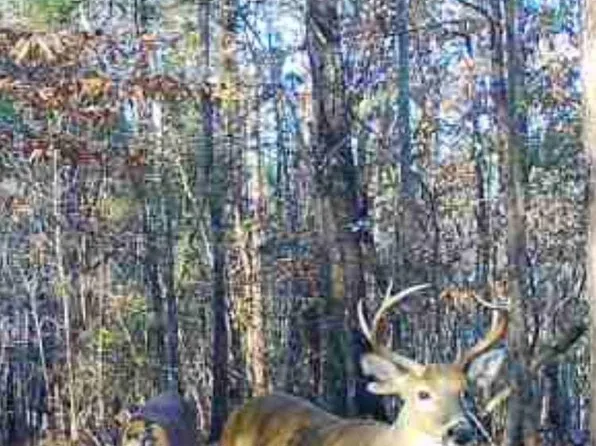 0 Apple Grove Rd, Vredenburgh, AL 36481