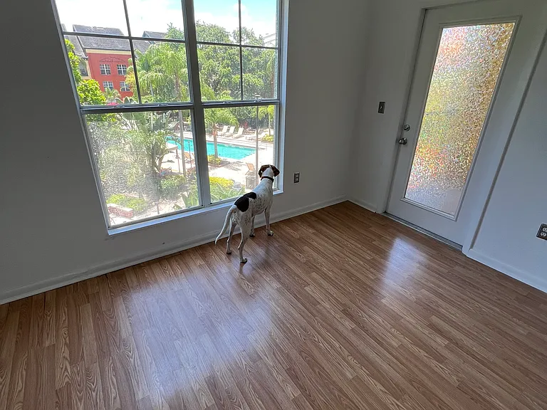 2410 W Azeele St #235 — Photo 3