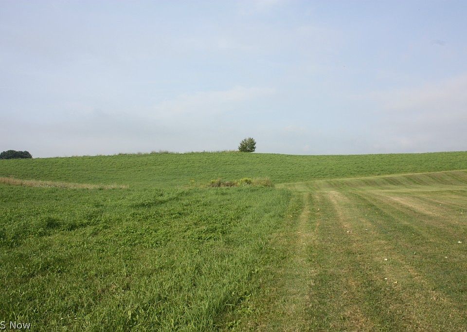 2nd image of 4555 Butterbridge Rd