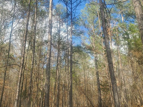 4th image of 1 Pleasant Hill Rd