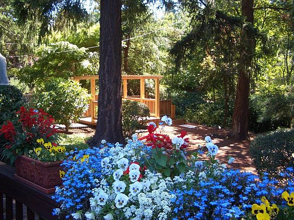 Back yard from Deck
