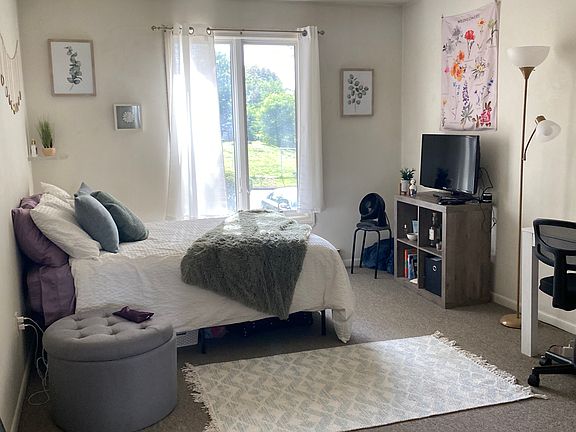 5th image of 33 S Williams St #119