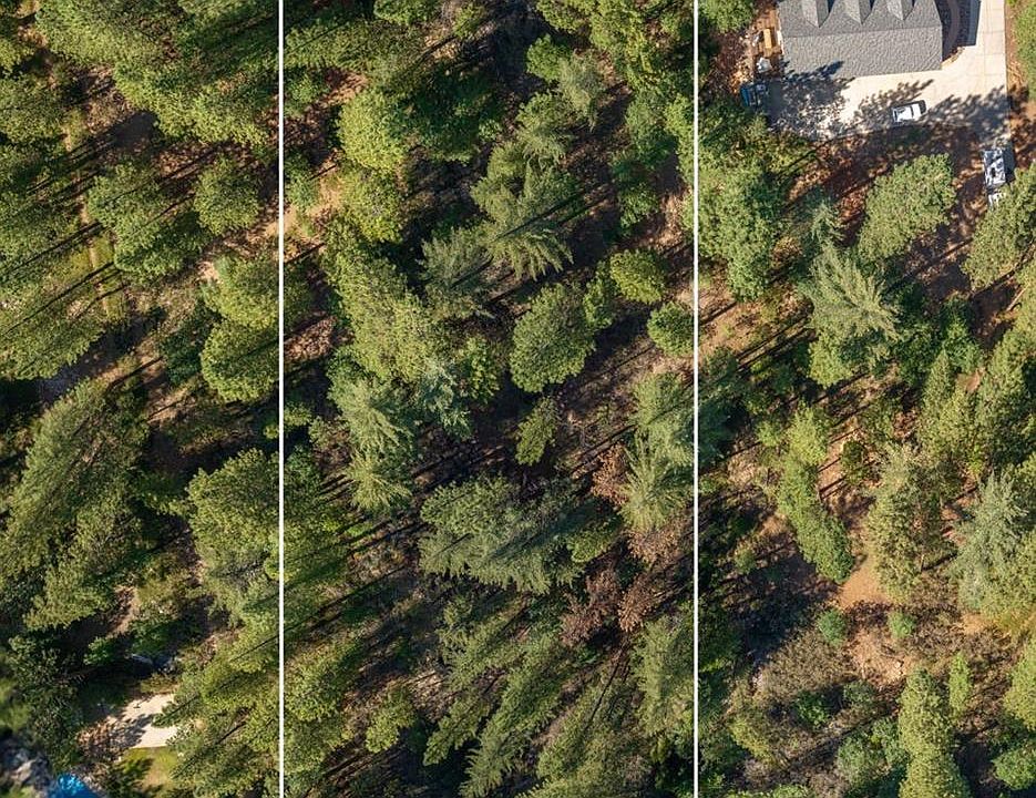 1st image of 3003 Black Bear Dr