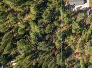3003 Black Bear Dr, Arnold, CA 95223