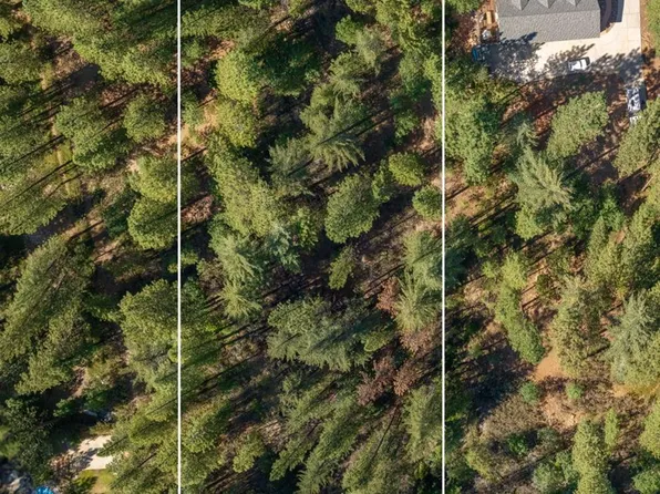 3003 Black Bear Dr, Arnold, CA 95223