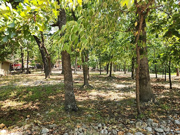 3rd image of Forrest Dr