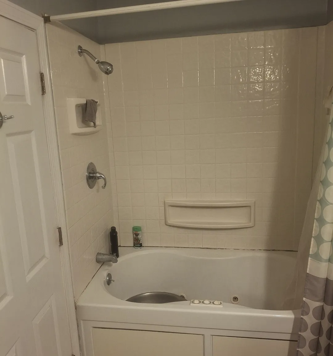 1 bed, $850 — Photo 3