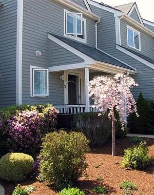 1st image of 543 White Cliff Dr