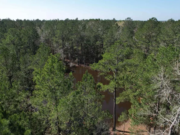 7715 N State Highway 19, Trinity, TX 75862