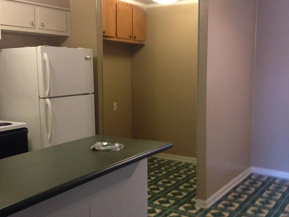 Kitchen/Laundry Area