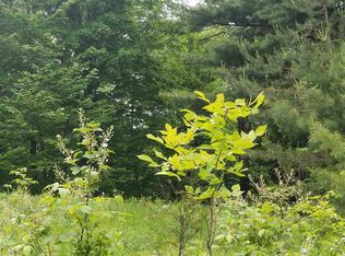 Gulf Rd, Colton, NY 13625