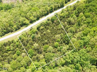 59 Walnut Springs Dr, Cape Fair, MO 65624