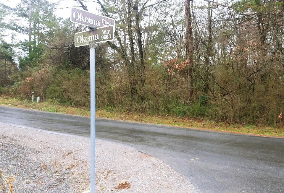 2nd image of 312 Okema Way Lot 7