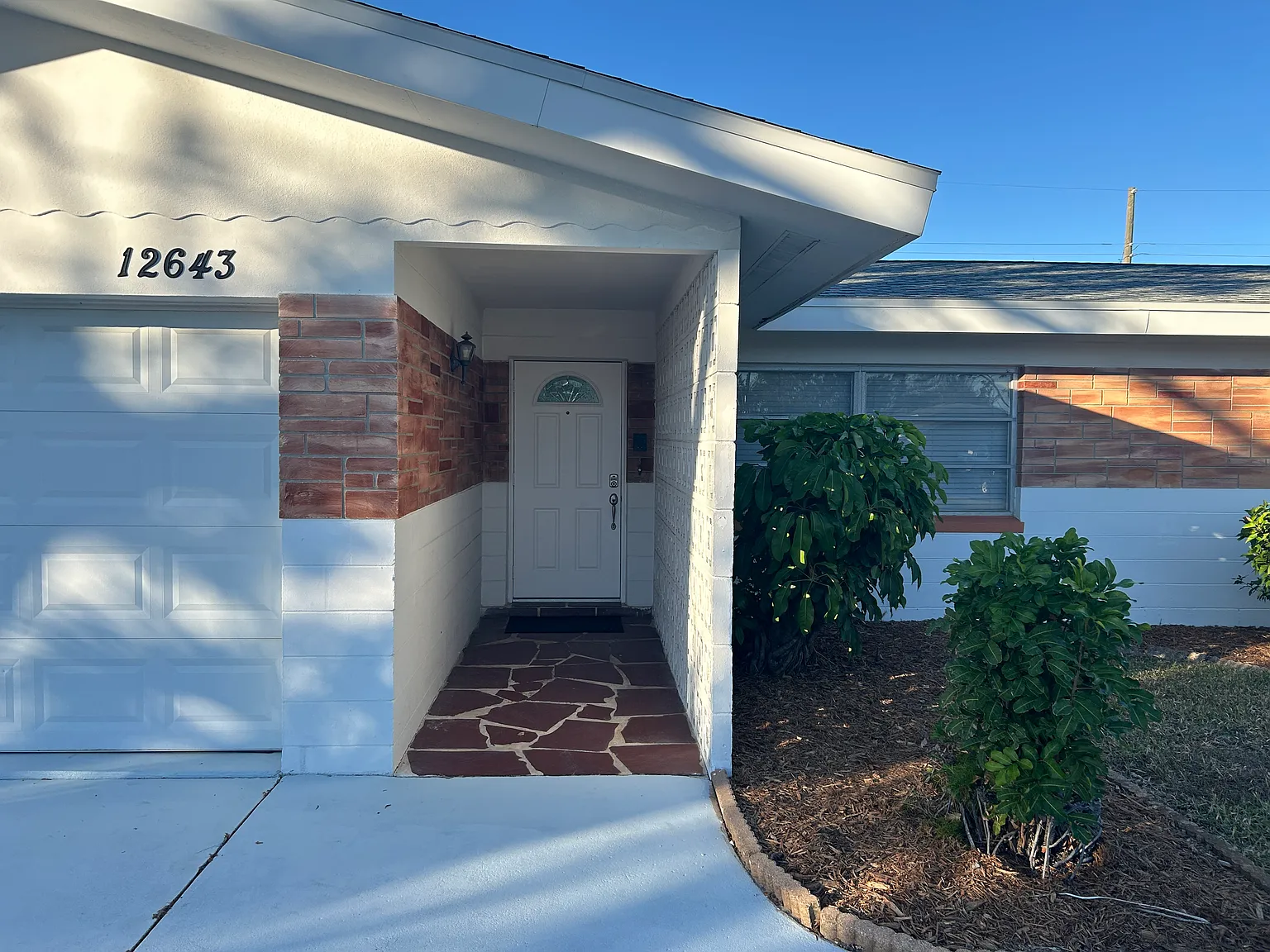 3 bed, 1243 sqft, $3,100 — Photo 3