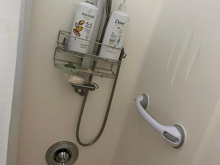 Bathtub with handicap grab bars and removable showerhead