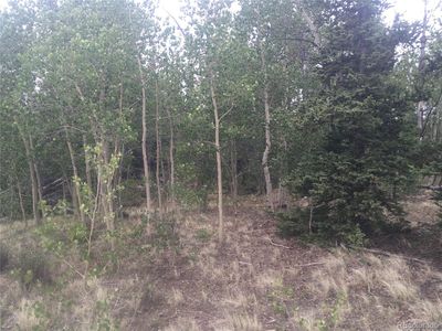 Dory Hill Rd, Black Hawk, CO, 80422